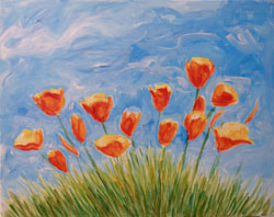 California Poppies