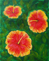 Hibiscus Flowers