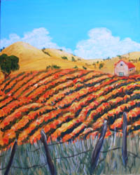 Vineyard with Hacienda